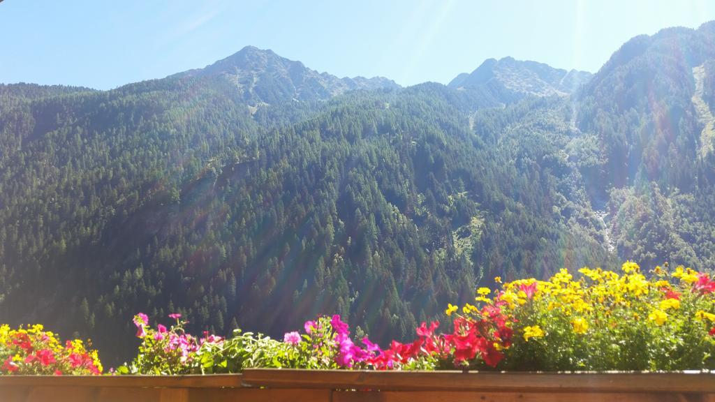Haus Gletscherblick Apartment Neustift im Stubaital Exterior photo